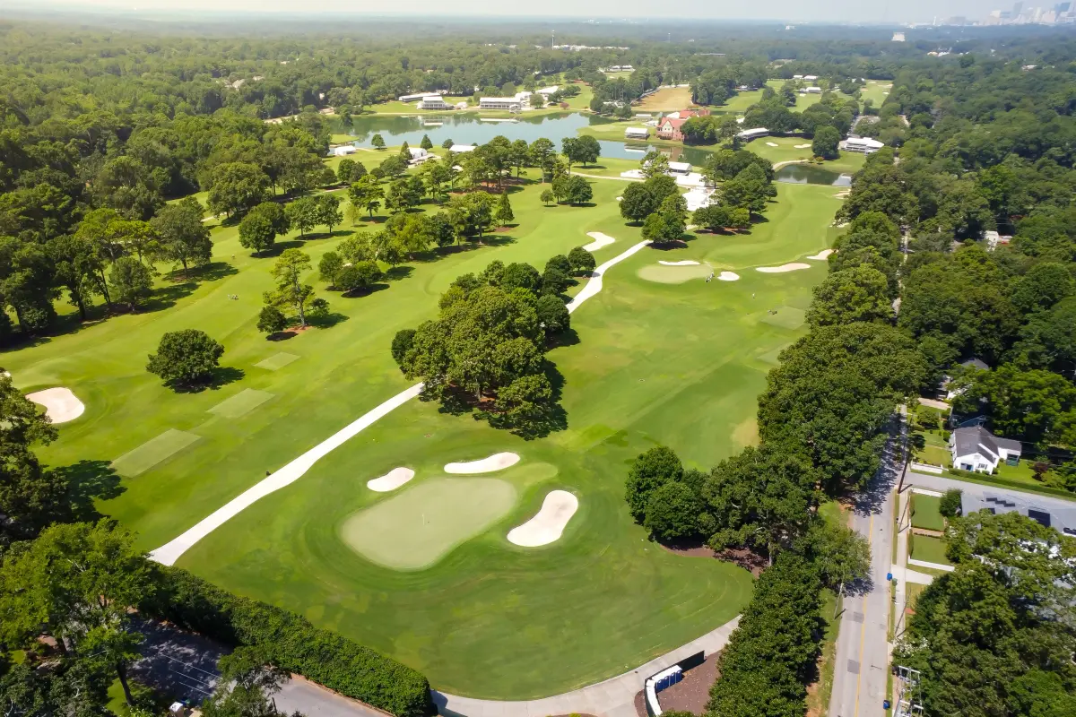 Professional tree care services in Smyrna by Eastlake Tree Service