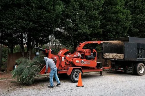 Land clearing services in Atlanta by Eastlake Tree Services
