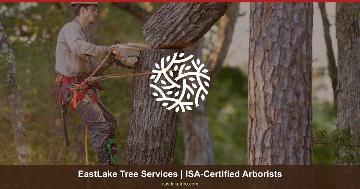 EastLake Tree Services work site