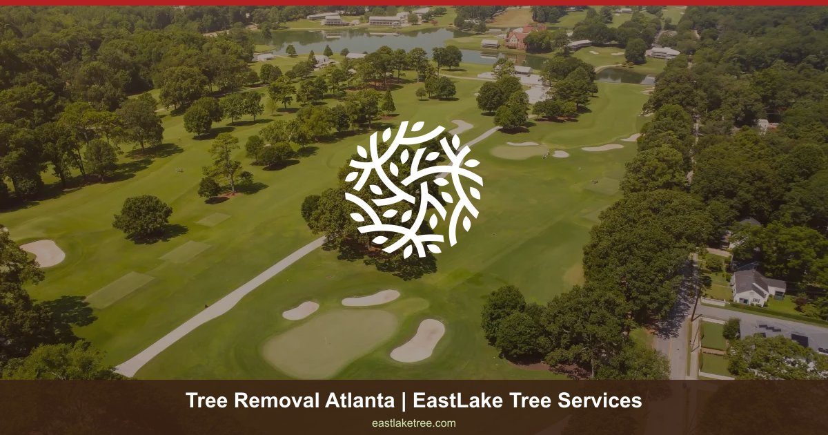 Tree Removal in Atlanta | Permits, Cost & Process | EastLake Tree