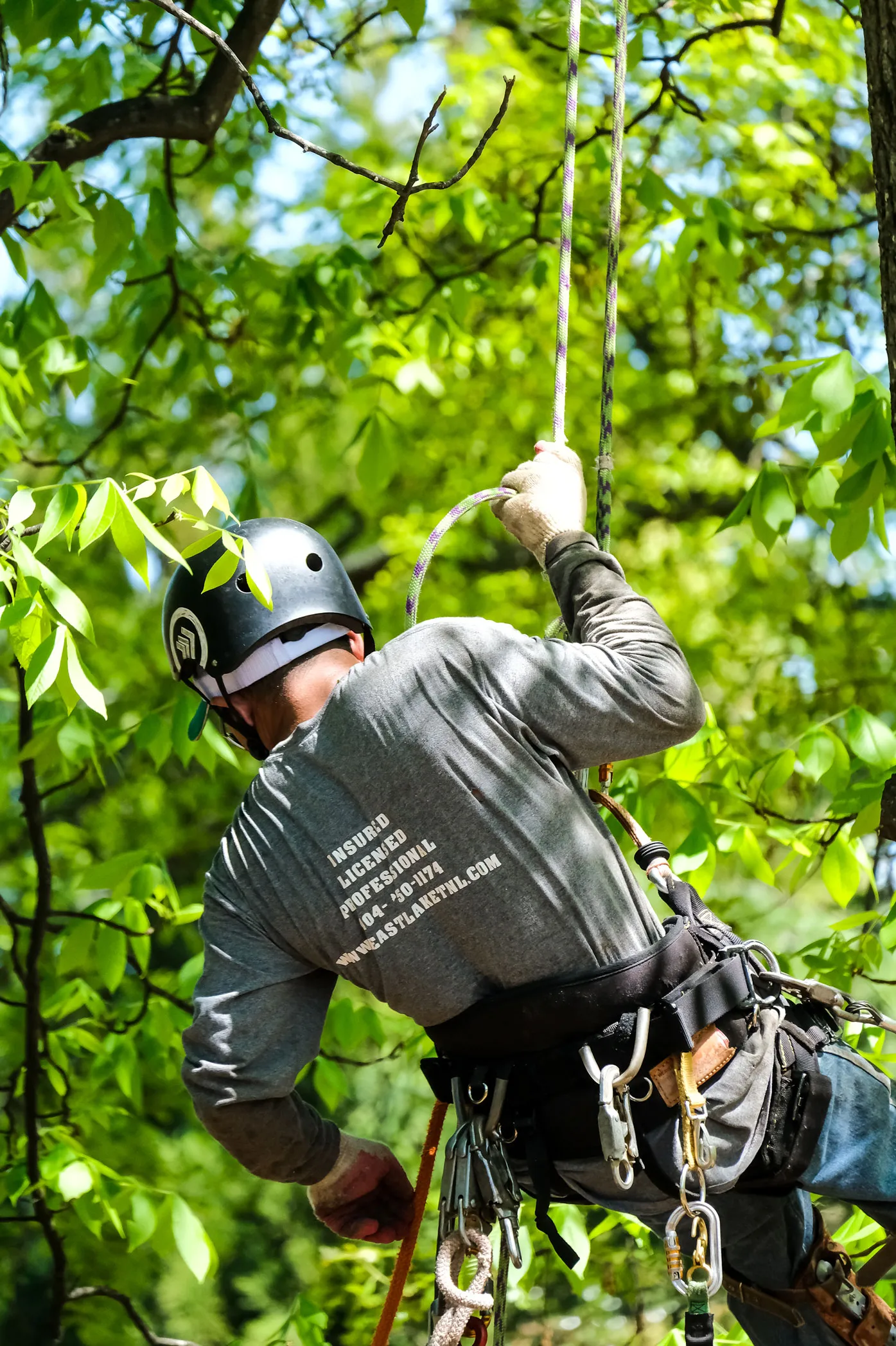Professional tree care services in Smyrna by Eastlake Tree Service