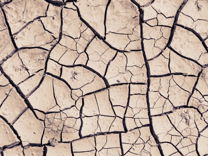 Atlanta Clay Soil Compaction: Diagnosis & Treatment Guide